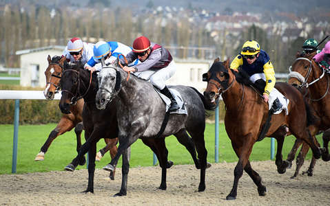 Actualités Hippiques